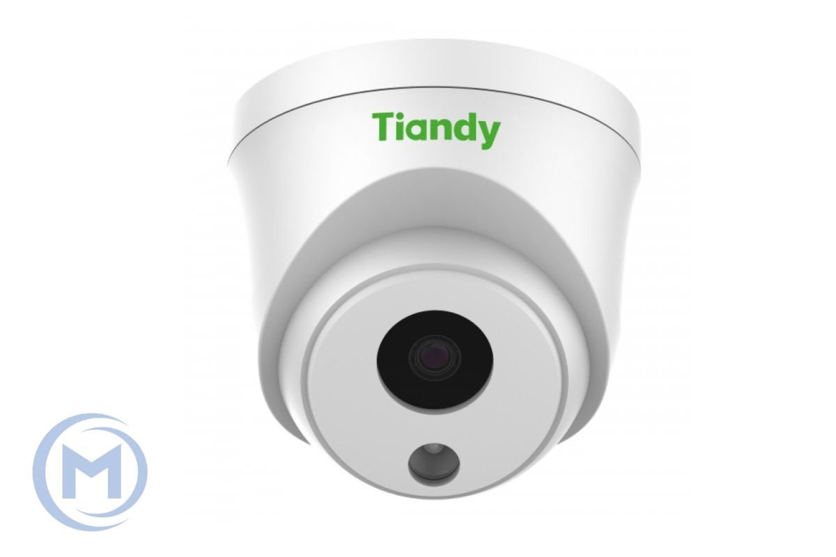 IP camera TIANDY TC-C32HN Spec:I3/E/Y/C/2.8mm/V4.2 купольн,уличн 2MP,IR 30M,MIC