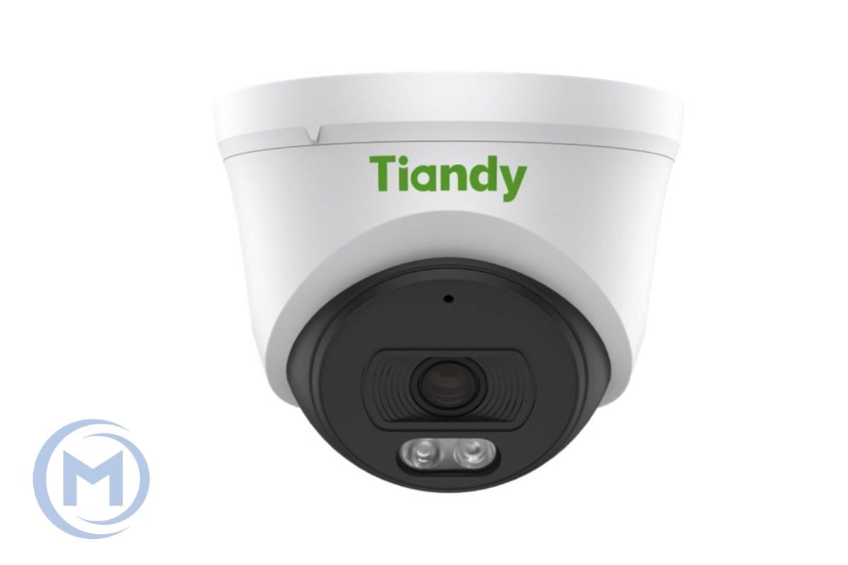 IP camera TIANDY TC-C34XN 2GNA-28 купольн,уличн 4MP,IR 30M,MIC