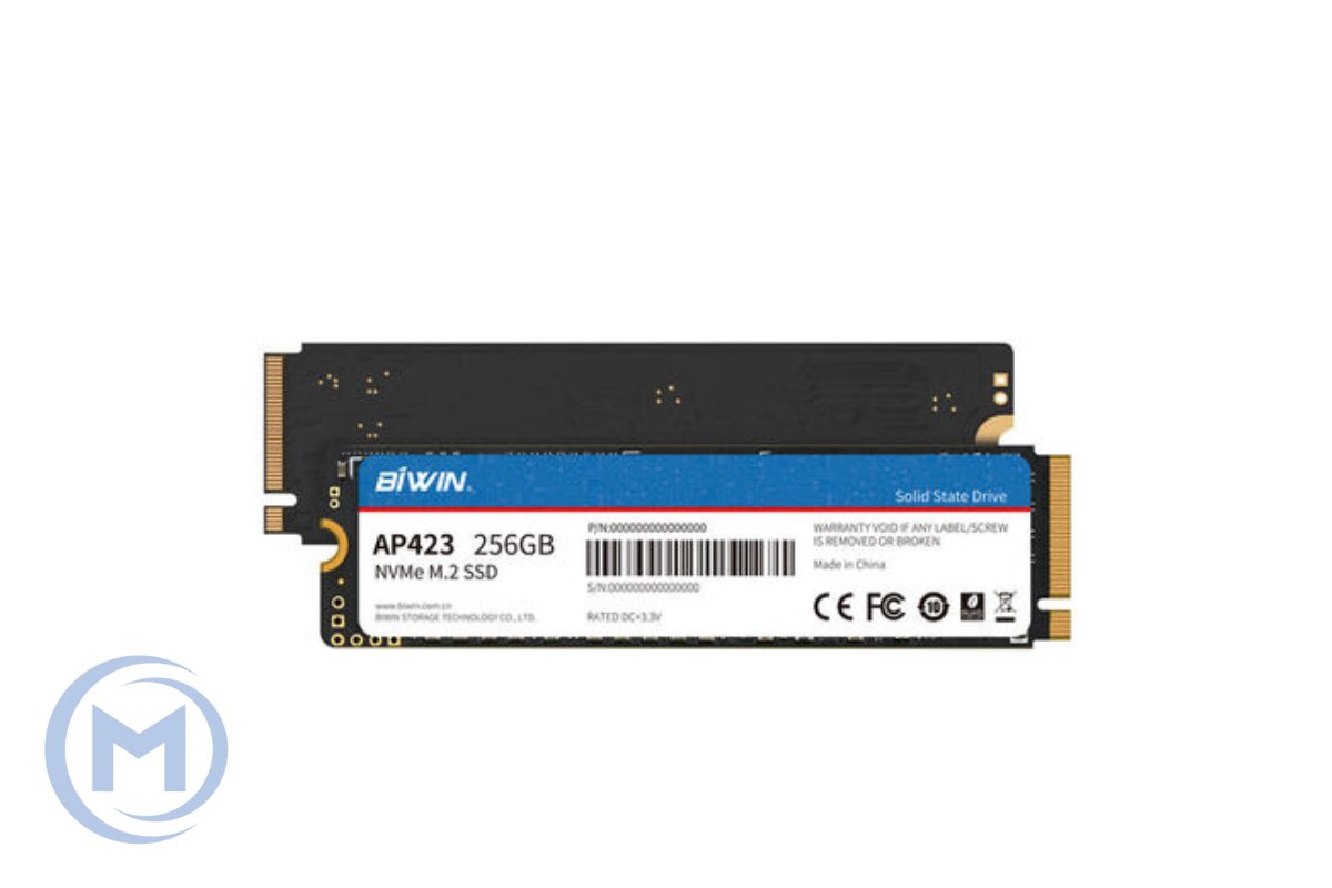 SSD BIWIN AP423 256GB M.2-2280 PCI-E GEN 4X4