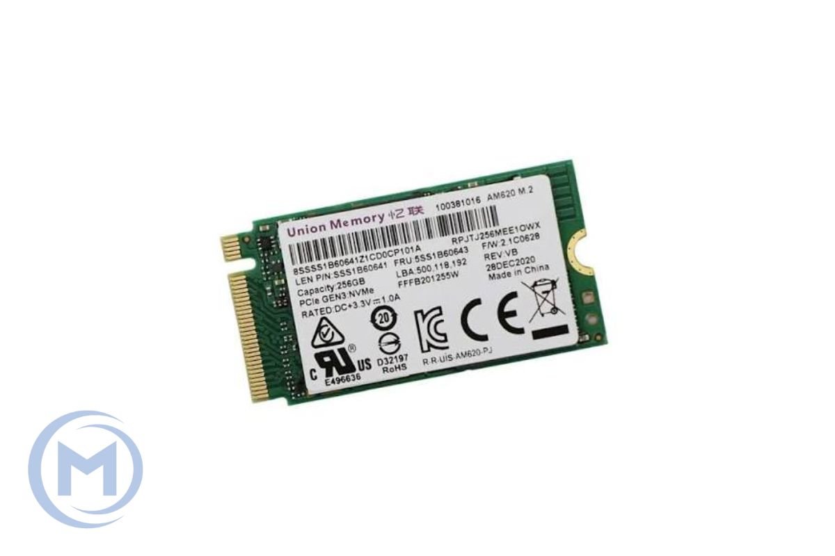 SSD UNION MEMORY AM620 256GB M.2 NVME PCIE 2242