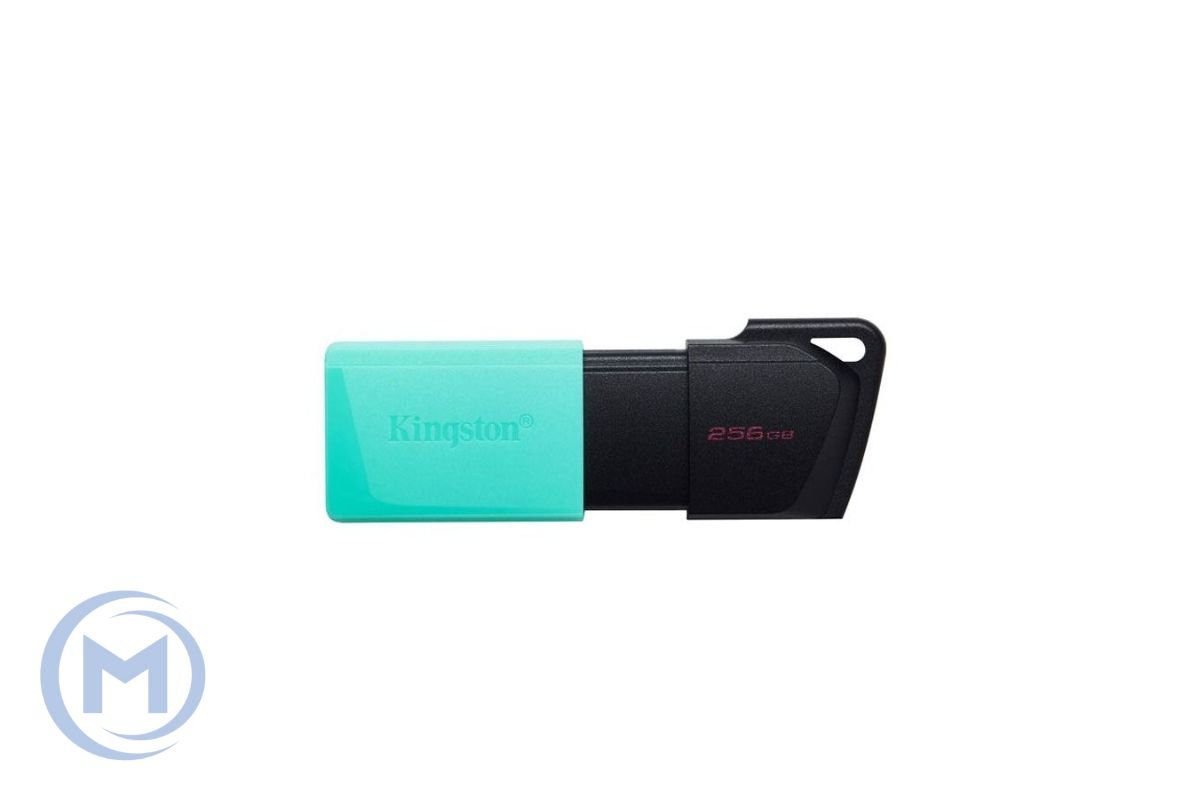 PEN DRIVE 256GB USB 3.2 KINGSTON DTXS