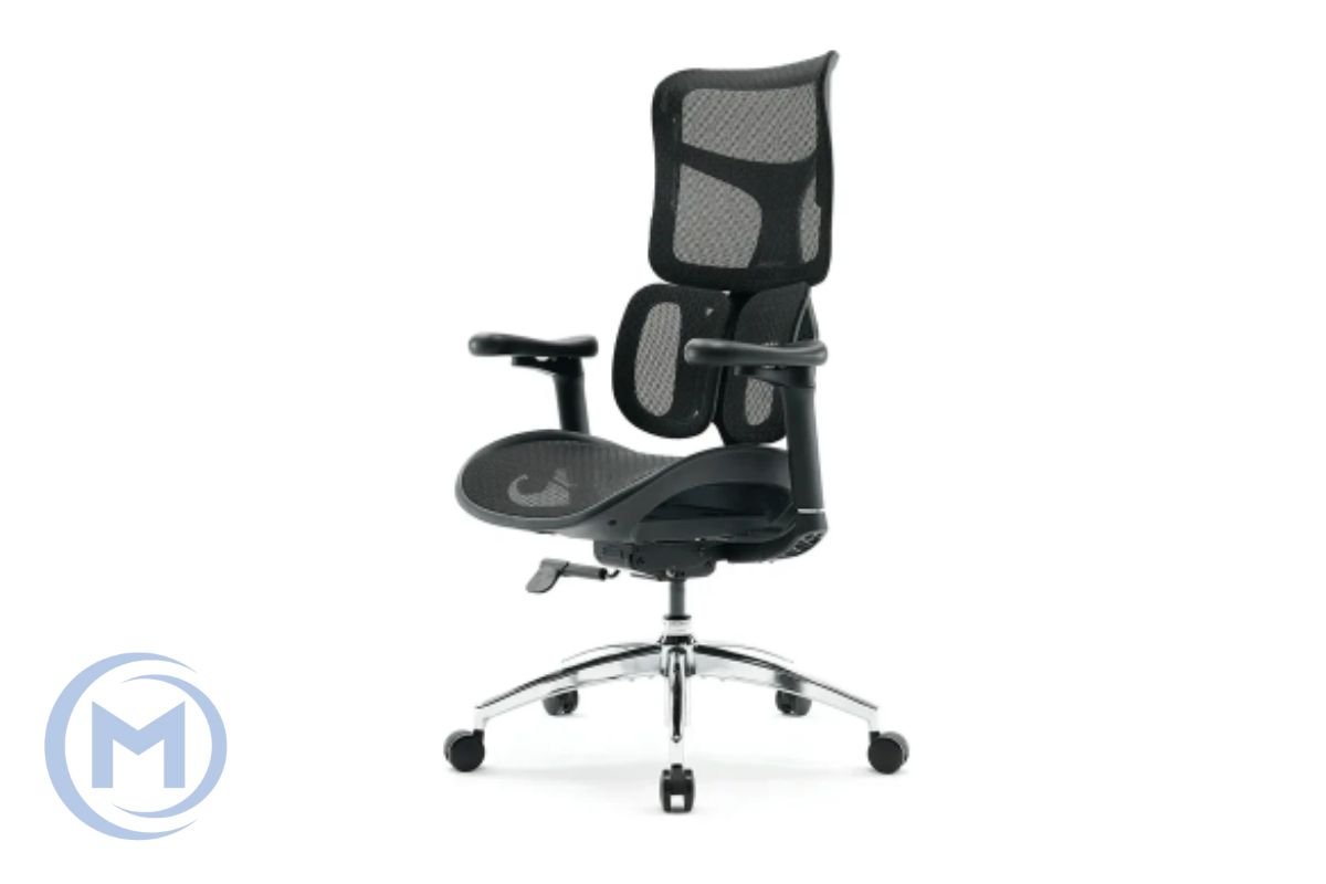 Office Chair SIHOO S100-203 BLACK 3D Armrest, class 4 TUV gaslift,350mm aluminum base