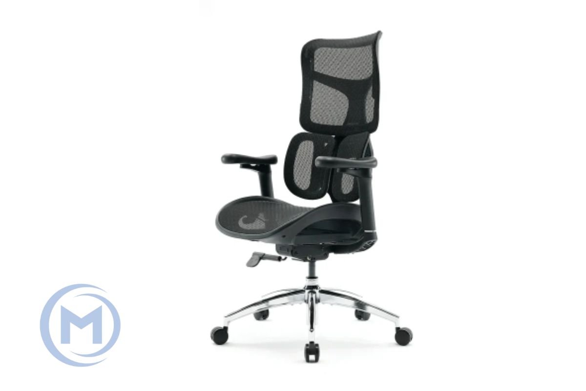 Office Chair SIHOO S100-B102-JT BLACK 3D Armrest, class 4 TUV gaslift,350mm aluminum base, Footrest